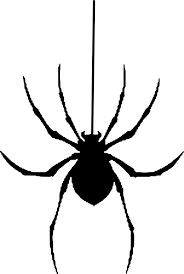 Free Image On Pixabay Spider Silhouette Halloween In 2020 Halloween Silhouettes Halloween Images Halloween Clipart Free