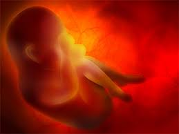 Image result for Fetal Movement Count