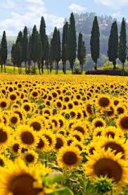Les Dames D Abord Landscape Beautiful Places Nature