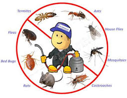 Pest Control Companies In Mumbai By Https Www Deviantart Com Intechpestcontrol On Deviantart Pest Control Termite Control Best Pest Control