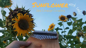 Good morning ____(child's name), good morning ___(child's name), good morning __(child's name) we're glad you're here today! Sunflower Rex Orange Country Kalimba Cover With Lyrics And Tabs Youtube