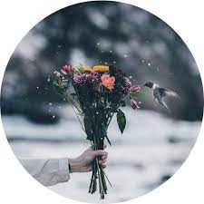 pin by sho she ta on صور تأمل profile pictures instagram night sky wallpaper lonliness art