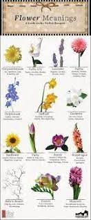 The ability to synthesize a wide variety of chemical compounds that are possibly used to perform important biological functions. Flower Meanings The Language Of Flowers Flower Meanings Flower Meanings Chart Plant Symbolism