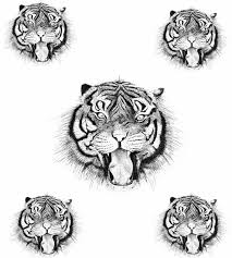 Tiger Family Boli Bic From this region the tigers again began to spread by migrating along the river following their prey closely. pinterest
