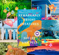 Abbie Levitt (@literaturewithlevitt) • Instagram photos and videos