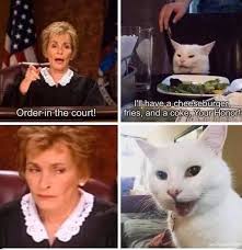 Order In Court Really Funny Memes Really Funny Pictures Funny Animal Jokes