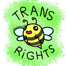 Please be sure that your entry into the contest contains original photos and text. Trans Right Minecraft Bee By Thaoslikespie On Deviantart