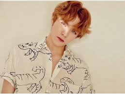 And yes he's more than being a visual, a meme or a mood and this vid aims show us whyfollow me . Hansol Vernon Chwe Startseite Facebook