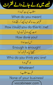 50 English Sentences To Use In Anger With Urdu Translation English Sentences Learn English Words English Vocabulary Words