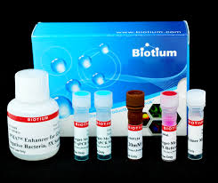 However, unlike other substituted amphetamines, pma does not produce stimulant or entactogen effects, nor euphoria. Pma Real Time Pcr Bacterial Viability Kit E Coli Uida Biotium