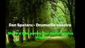 Ce seara minunata karaoke romanesti. Dan Spataru Drumurile Noastre Like Daca Apreciezi Muzica Buna Youtube