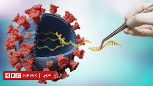 Check spelling or type a new query. ÙÙŠØ±ÙˆØ³ ÙƒÙˆØ±ÙˆÙ†Ø§ Ù…Ø§ Ù‡ÙŠ Ø³Ù„Ø§Ù„Ø§Øª Ø§Ù„ÙÙŠØ±ÙˆØ³ ÙˆÙ…Ø§ Ù…Ù‚Ø¯Ø§Ø± Ø§Ù„Ø­Ù…Ø§ÙŠØ© Ø§Ù„ØªÙŠ ØªÙˆÙØ±Ù‡Ø§ Ø§Ù„Ù„Ù‚Ø§Ø­Ø§Øª Ø¶Ø¯Ù‡Ø§ Bbc News Ø¹Ø±Ø¨ÙŠ