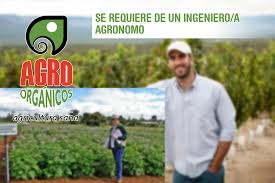 Es la bomba n.º 237 de las 1132 que estados unidos detonó entre 1945 y 1992. Se Requiere De Un Ingeniero A Agronomo Agro Organicos Ecuador Agricultura Sana