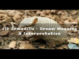 Pin On Dream Interpretation