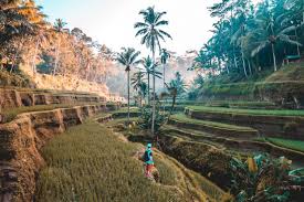 Dari gambar tersebut, anda dapat melihat sebuah pemandangan yang luar biasa indah. 20 Negara Terindah Di Dunia Indonesia Urutan Berapa