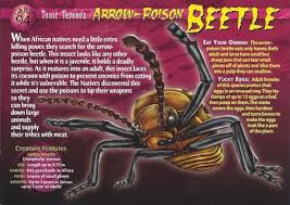 Black And Yellow Longhorn Beetle Poisonous Arrow Poison Beetle Weird N Wild Creatures Wiki Fandom Powered By Wikia In 2020 Beetle Wild Creatures Animal Cards
