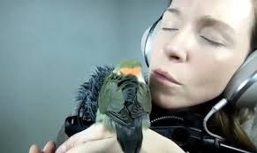 Amanda Gregory, Consciousness Explorer