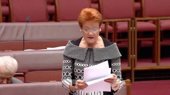 Pauline Hanson has forced the debate Australia’s political class has  avoided for decades: should Australia be divided into competing cultures,  or united by one national culture under one flag, one law ...