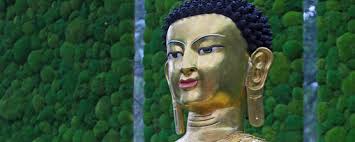 Fördern und unterstützen Sie unsere botanika Projekte mit Patenschaften und  Geldspenden.