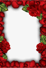 Textura De Fronteira De Petala De Rosa Vermelha Vermelho Rosas Petala Imagem Png E Psd Para Download Gratuito In 2020 Flower Background Wallpaper Red Rose Petals Flower Frame