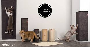 The scratcher will usually use something sharp to the touch but not pure metal, for example. Scratching Mats And Scratching Carpets For Cats By Profeline B2b