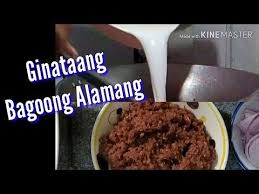 Ginataang Bagoong Alamang Paste Recipe Recipes Cooking Recipes