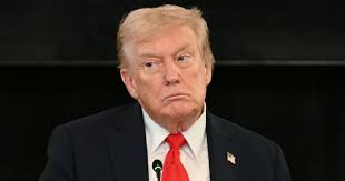 Cricket: Pat Cummins, Alyssa Healy bag Australia's top individual honours  for 2019