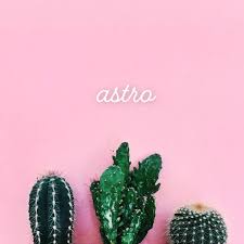 Pin By Lilie K On Astro Green Aesthetic Cactus Pink And Green