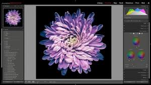 Adobe photoshop includes a variety of tools and commands for improving the quality of a photographic select the clone stamp tool ( ) in the tools panel. Julieanne Kost S Blog Adobe Announces Updates To Photoshop 2021 V22 And Adobe Camera Raw V13