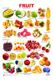 educational charts series fruit chart 6