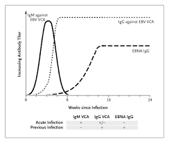 infectious mononucleosis nejm