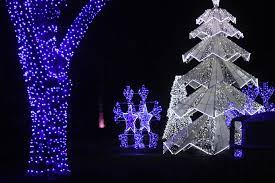 Cleveland Christmas Lights 2021 Wild Winter Lights Returns To Cleveland Zoo For 2021 Cleveland Com