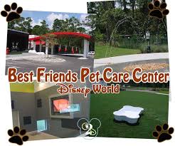 For a limited time, pet dogs may visit disney resort hotels as part of the. 13 Pet Care Best Friends Resort At Disney Ideas Pet Care Best Friends Pets Pets