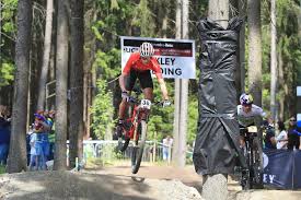 May 14, 2021 · každý třetí čech vlastní kolo, jsme národem cyklistů. Cink Jel O Bronz Pak Prisel Osudny Defekt Zavod Bikeru Ovladl Pidcock Isport Cz