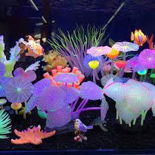 Hold a coral gemstone in your hands for a while and feel it. 5 Pcs Artificial Fluorescent Coral Aquarium Luminous Emulation Coral Plant Fish Tank Glowing Coral Fluorescent Fake Coral Aquarium Ornament Decorations With Suction Cup Fish Aquatic Pets Pet Supplies Urbytus Com