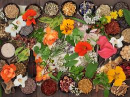 Sep 10, 2019 · for the flowers you see here, i used clear and blue glass plates plus some small metal serving dishes. Health Benefits Of Edible Flowers Add Flower Power To Your Daily Diet Lavender Dandelion Hibiscus Are Packed With Antioxidants Vitamins The Economic Times