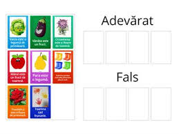 Tot ceea ce credem devine adevarat pentru noi. Adevarat Au Fals Resurse Didactice