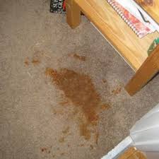 How To Get Old Stains Out Of Carpet Remove Stains How To Clean Carpet Carpet Stains Carpet Cleaning Hacks