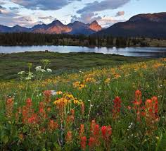 Maybe you would like to learn more about one of these? Molas Lake Campground 4 Photos Silverton Co Roverpass