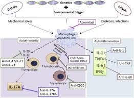 Find info about an oral rx treatment option for adults with active psoriatic arthritis. Psoriatic Arthritis From Pathogenesis To Pharmacologic Management Sciencedirect