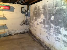 Prolonged exposure to indoor molds such as those found in a basement may lead to upper respiratory tract infections such as coughs, wheezing and asthma symptoms. Signs Of Mold In Your Basement Dublin Oh Everdry Columbus Oh
