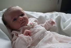 The Lester family tree.