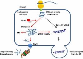 Image result for svrab na k%u016F%u017Ei