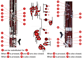 How To Play The Bassoon Bassoon Fingering Chart Musical
