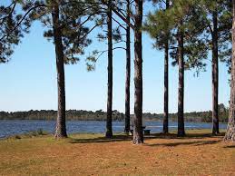 If you're viewing this on your phone, just slide your finger where you want to view. Little Black Creek Campground Park 3 Photos 1 Reviews