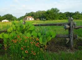 Maybe you would like to learn more about one of these? Georgetown Texas Blog Visit Georgetown