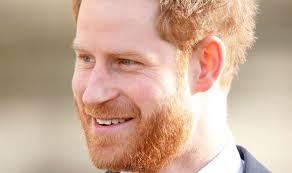 Prince William snub: The one royal Prince Harry trusted to meet Meghan  Markle first