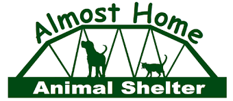 Where are our dogs located? Almost Home Animal Shelter Quinnesec Iron Mountain Mi