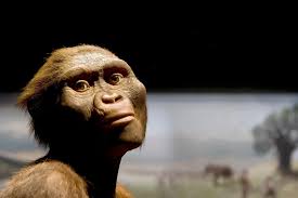 Lucy the Australopithecus Turns 41 (Plus 3.2 Million Years)