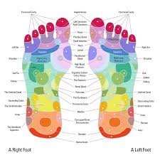 Female Reproductive Reflexology Points Reflexology Points